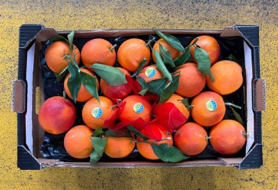 Foto Tarocco Ippolito Calibro 6 Origine Italia Marchio Frutteti Italiani 3